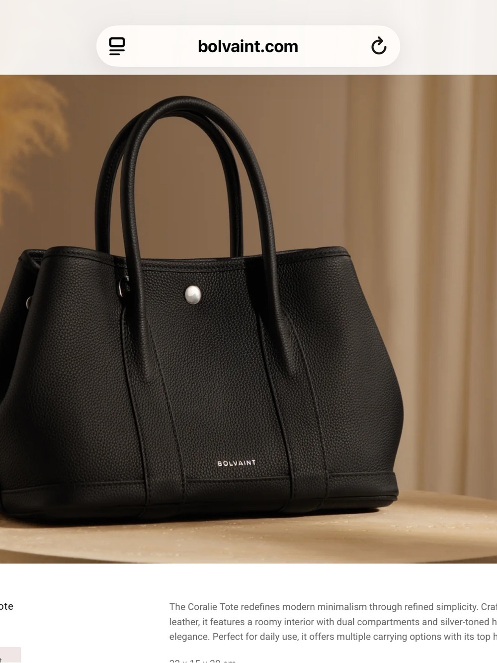 Bolvaint Paris Leather Coralie Tote - Sleek Everyday Handbag